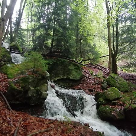 Planfoy La Fortance Paradis Naturel - Proche De La Ville المظهر الخارجي الصورة