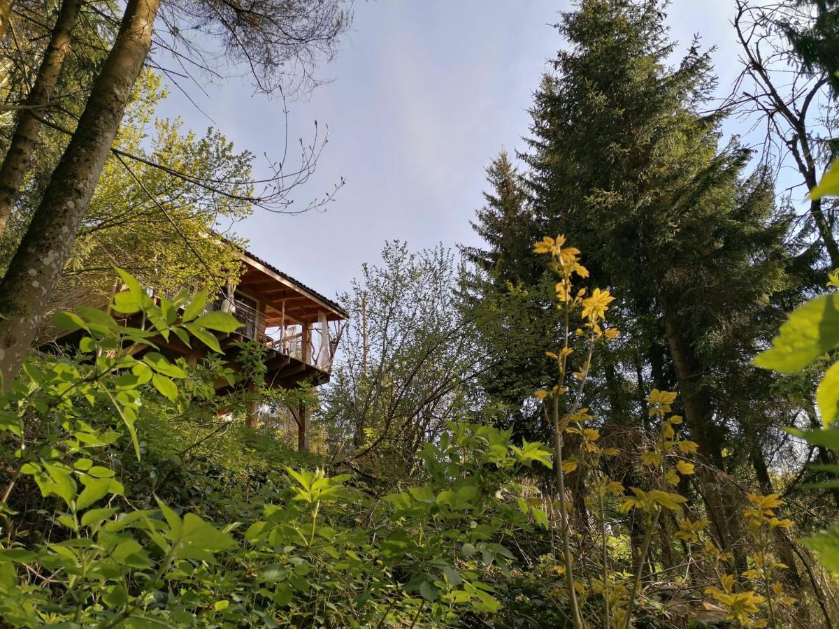 Planfoy La Fortance Paradis Naturel - Proche De La Ville المظهر الخارجي الصورة