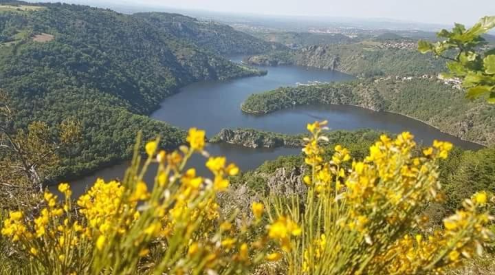 Planfoy La Fortance Paradis Naturel - Proche De La Ville المظهر الخارجي الصورة