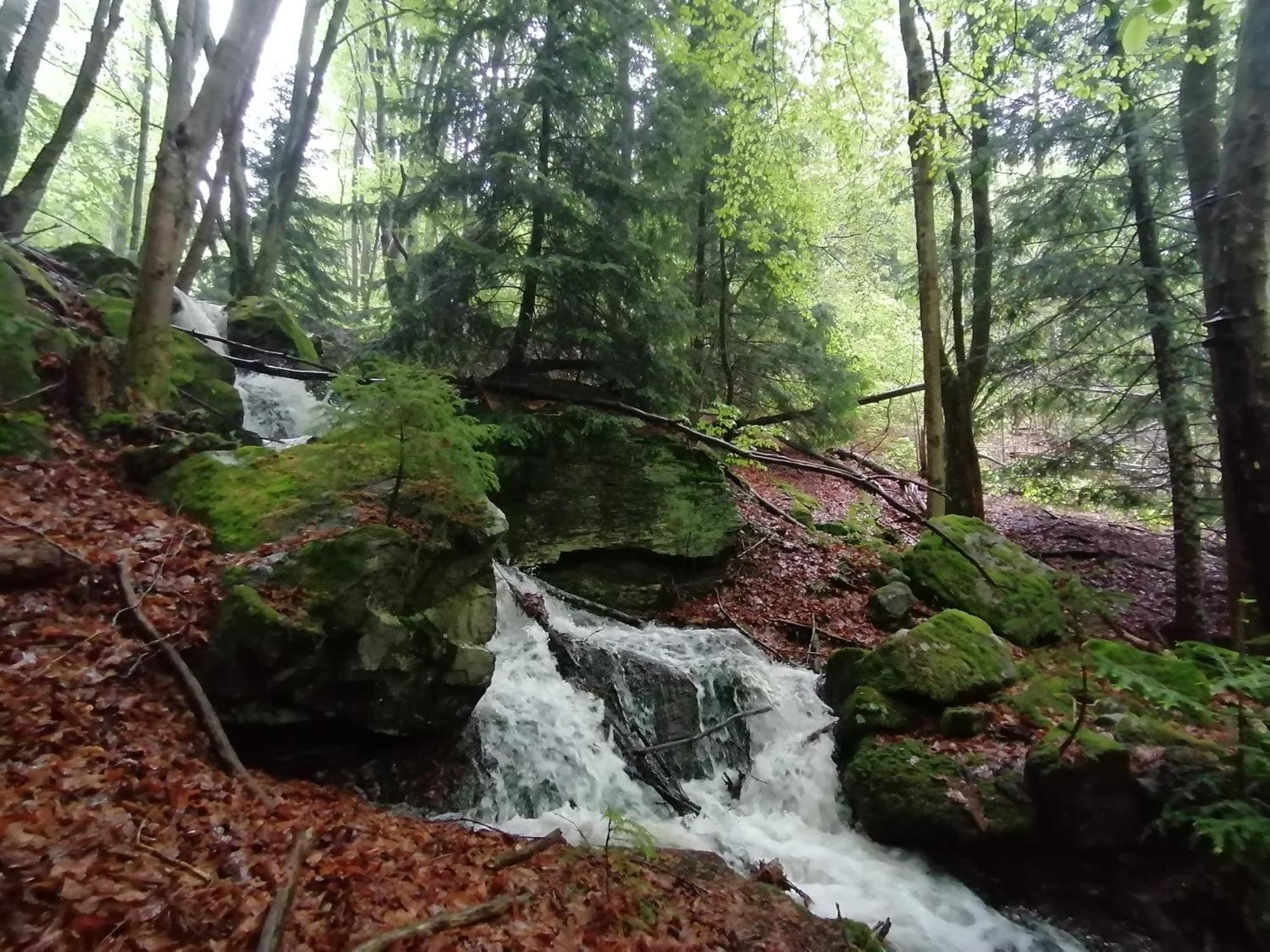 Planfoy La Fortance Paradis Naturel - Proche De La Ville المظهر الخارجي الصورة