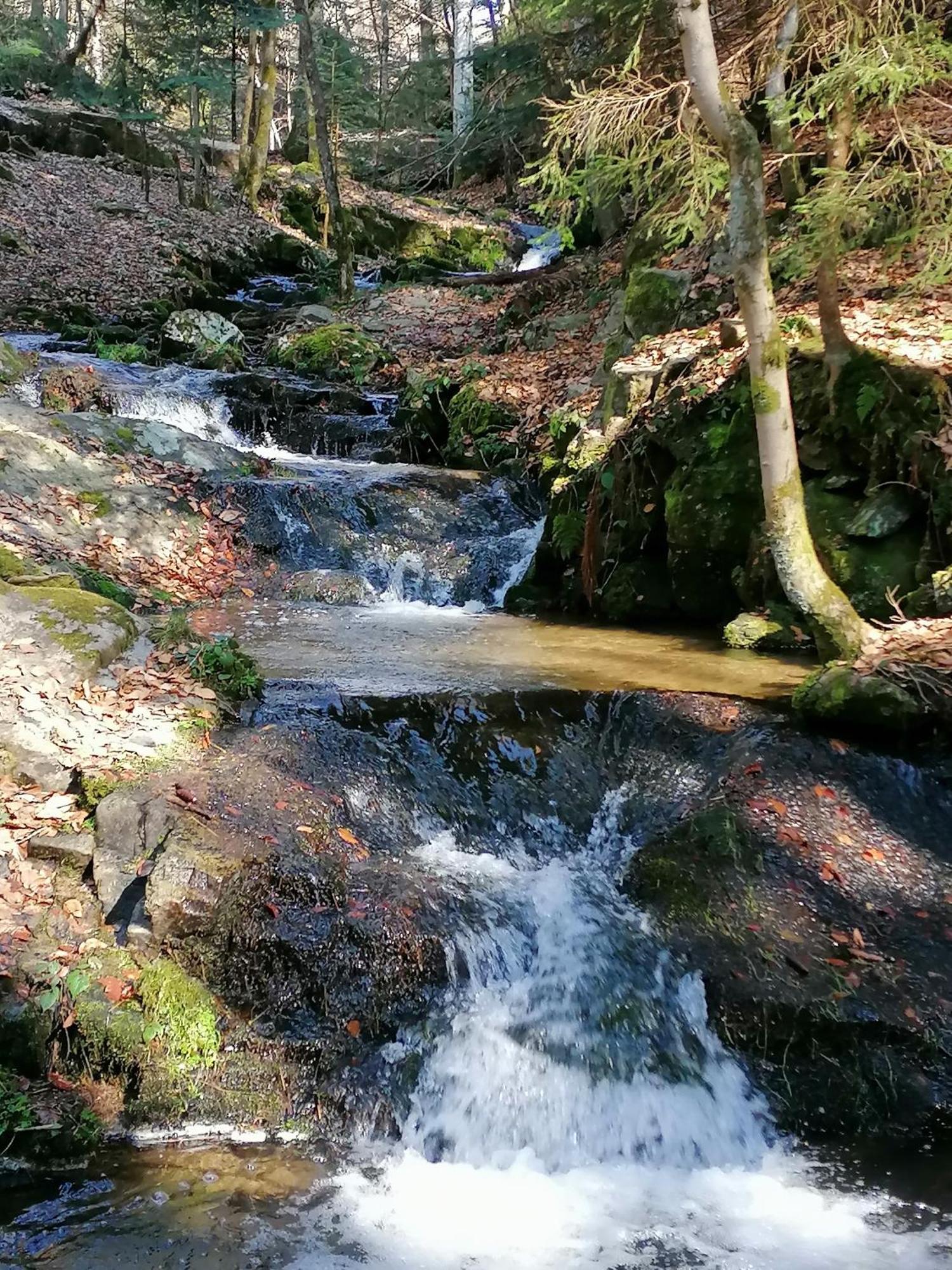 Planfoy La Fortance Paradis Naturel - Proche De La Ville المظهر الخارجي الصورة
