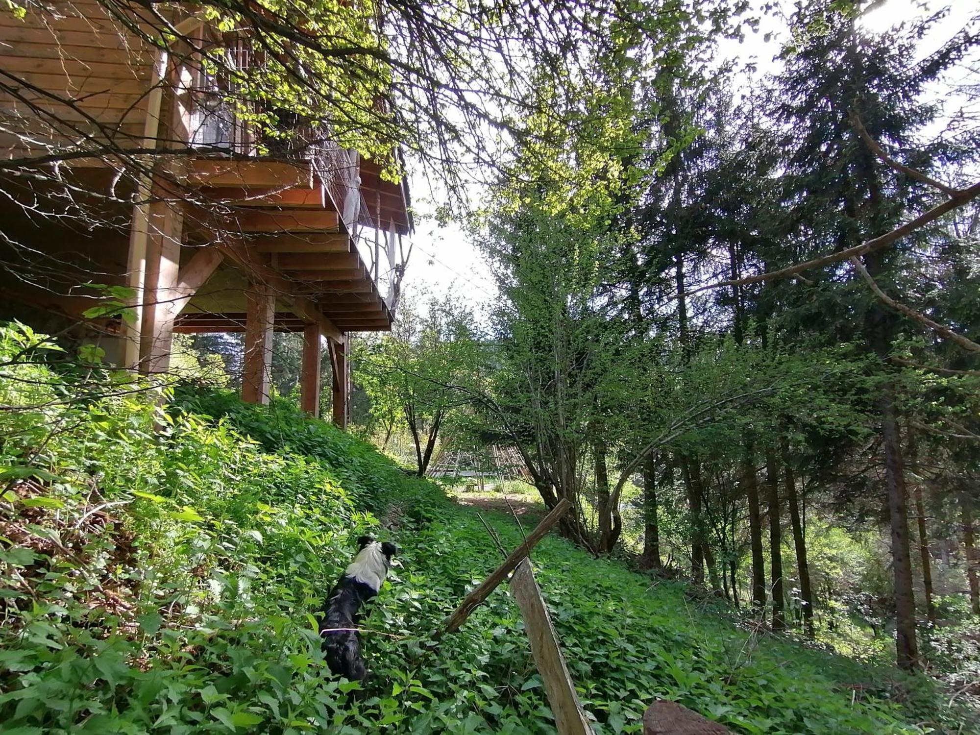Planfoy La Fortance Paradis Naturel - Proche De La Ville الغرفة الصورة