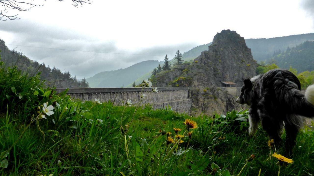 Planfoy La Fortance Paradis Naturel - Proche De La Ville المظهر الخارجي الصورة